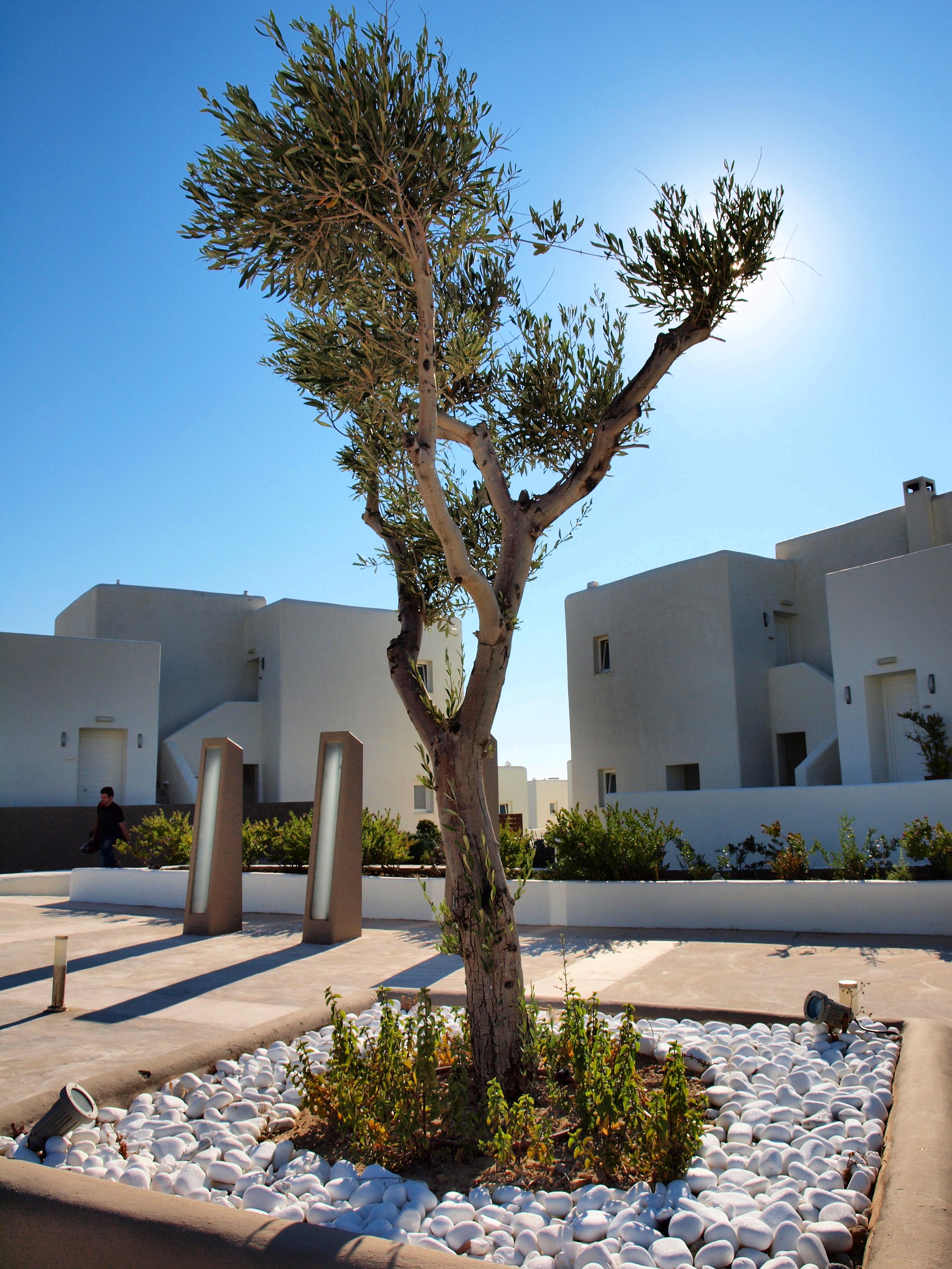 Archipelagos Resort Парос Экстерьер фото
